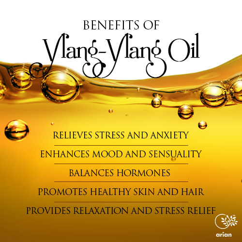 Ylang-Ylang Oil (मनोरंगिनी का तेल) - Image 3