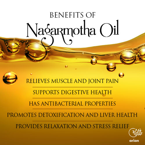 Nagarmotha Oil (नगरमोथा का तेल)